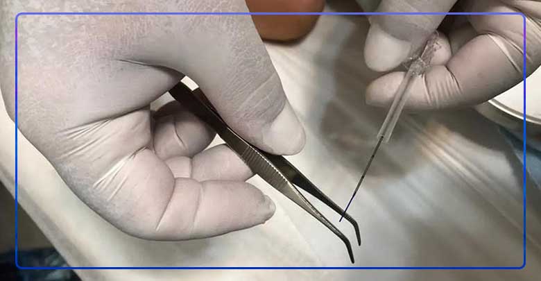 هزینه امبدینگ در اصفهان